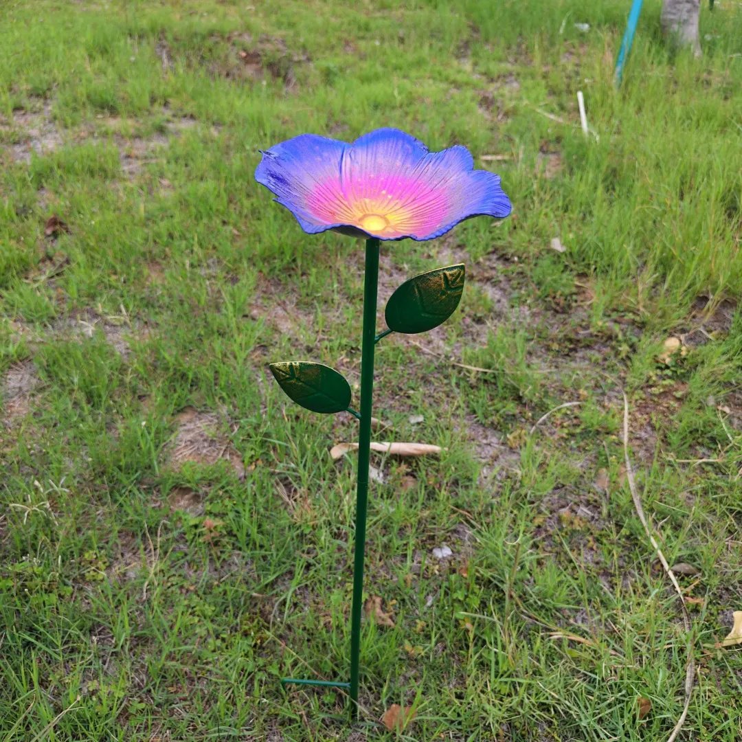 Garden Hummingbird Water Feeder