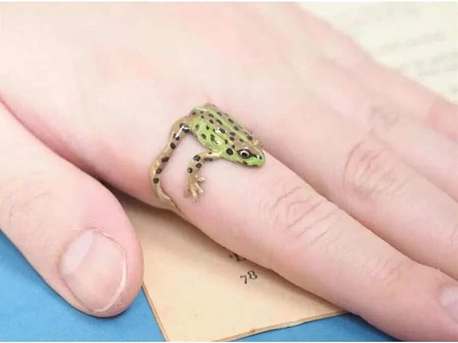 Tree Frog Ring