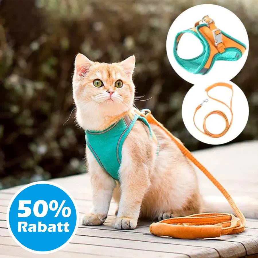 🦮[Give Your Pet the Best Love ]Cat Harness Vest