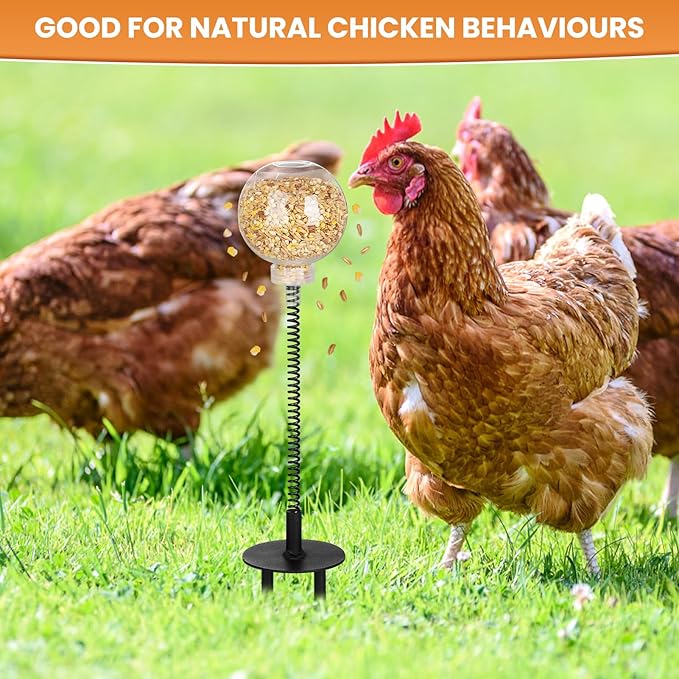 🐔 Interactive Slow Feed Peck Toy for Chickens – Boredom Buster & Enrichment Feeder