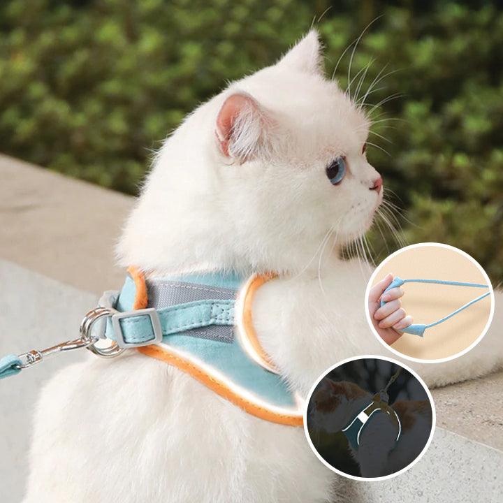 🦮[Give Your Pet the Best Love ]Cat Harness Vest