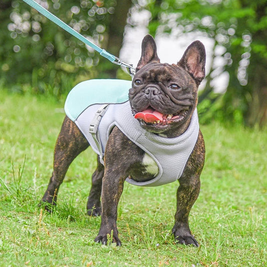 ❄️🐾 Dog Summer Ice Cooling Protective Vest