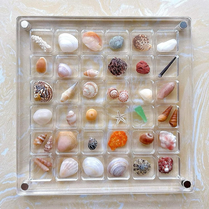 Acrylic Magnetic Seashell Storage Box