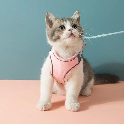 Cat Harness