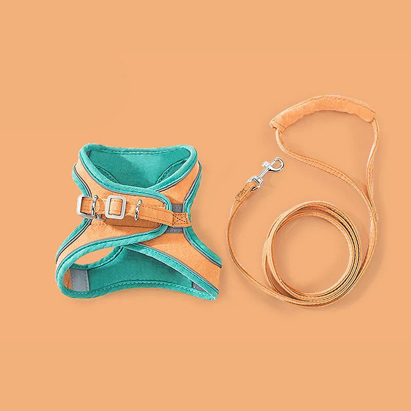 🦮[Give Your Pet the Best Love ]Cat Harness Vest