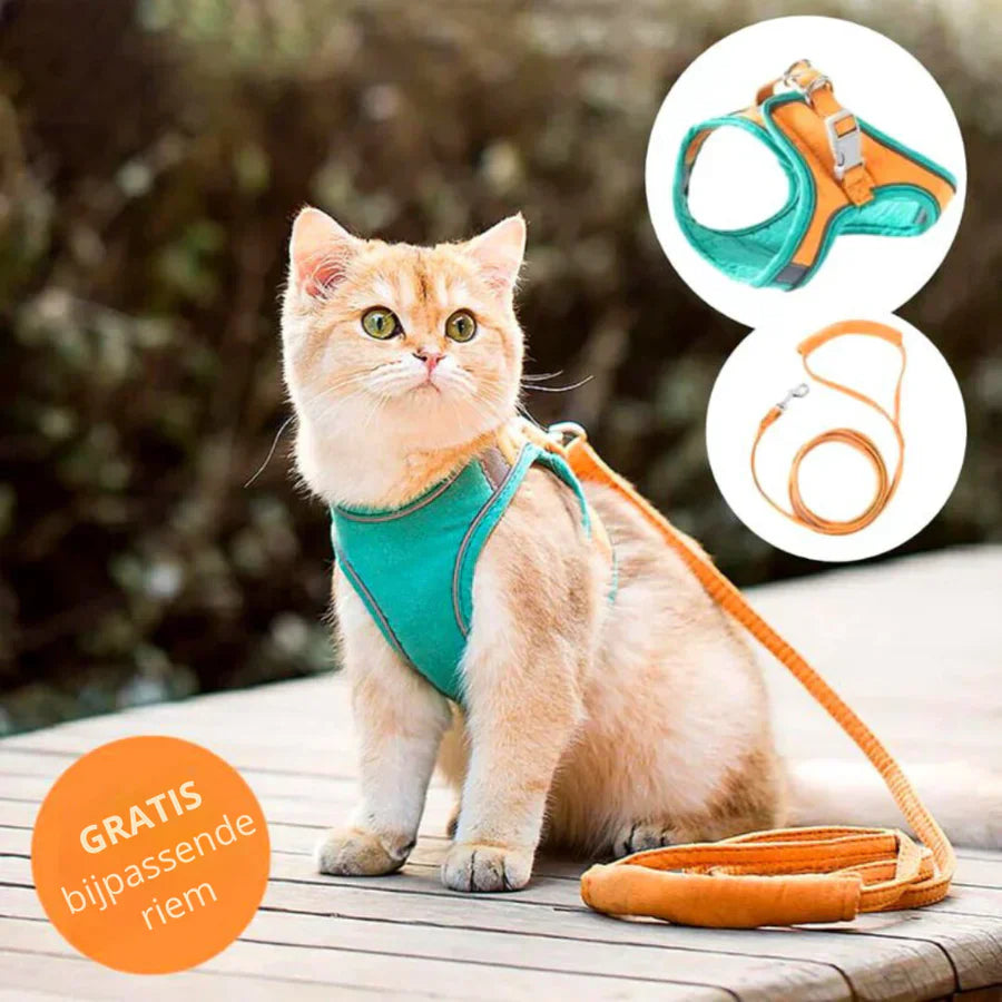 🦮[Give Your Pet the Best Love ]Cat Harness Vest