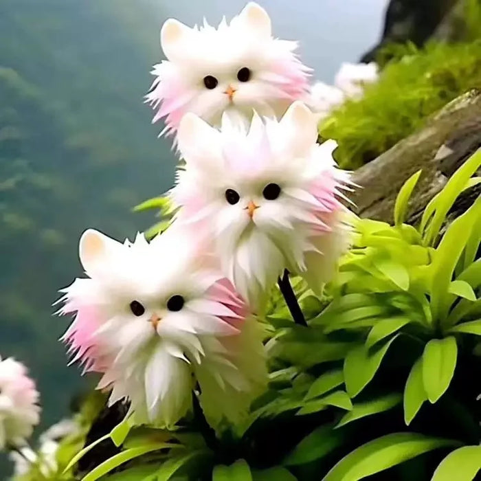 Amazing plants! Cat's eye dazzle