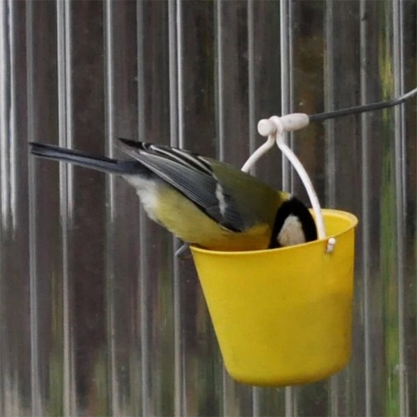 Ferris Wheel Bird Feeder