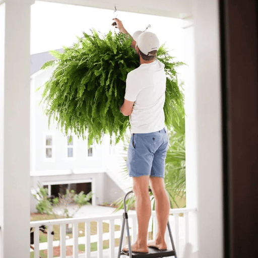 ✨This Week's Special Price $19.99💥UV Resistant Lifelike Artificial Boston Fern