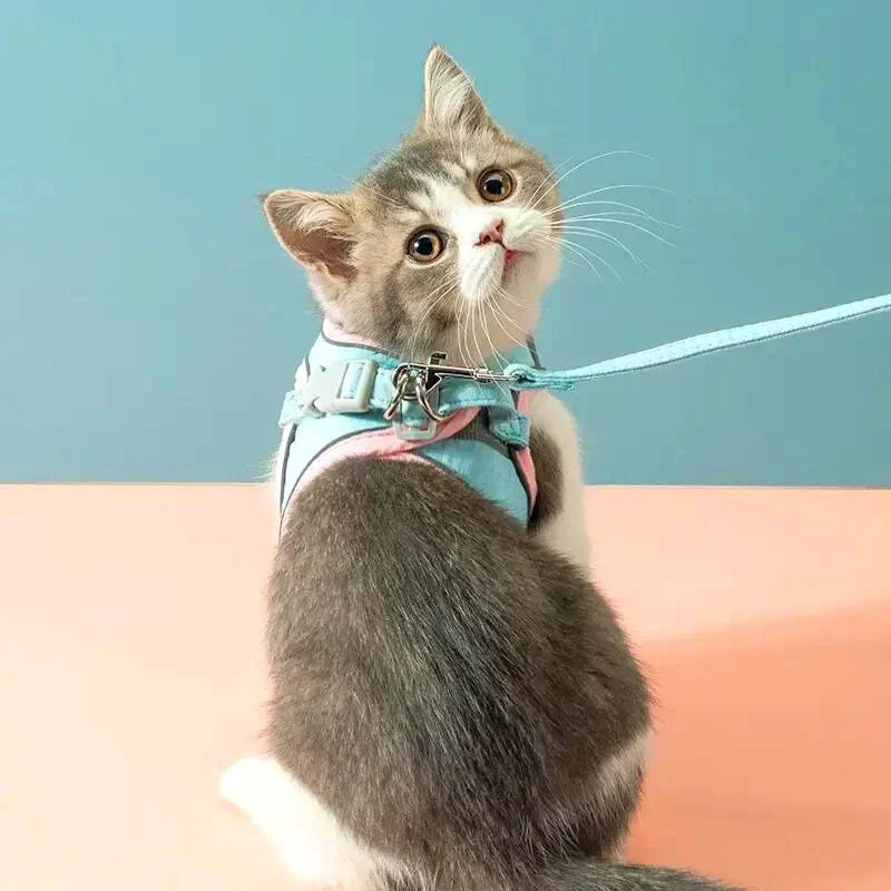 🦮[Give Your Pet the Best Love ]Cat Harness Vest