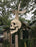 Skull Whirligig - Gothic Garden Decor