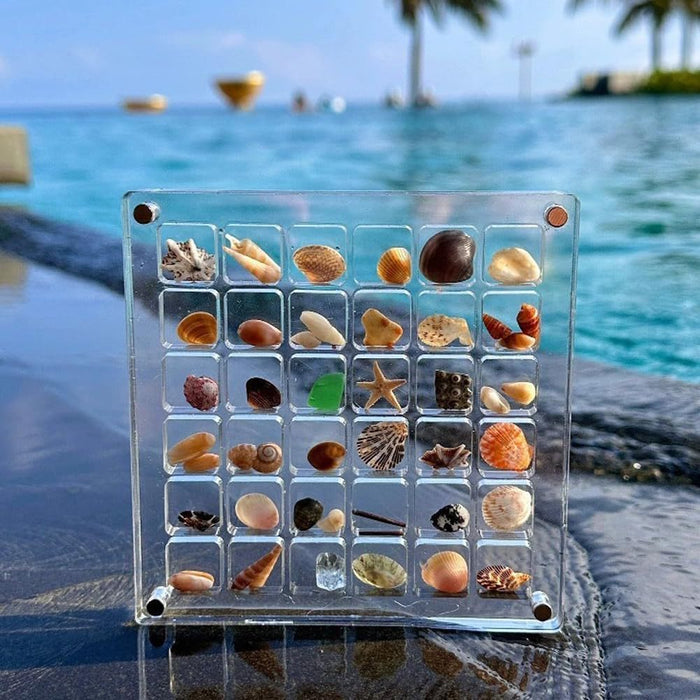 Acrylic Magnetic Seashell Storage Box