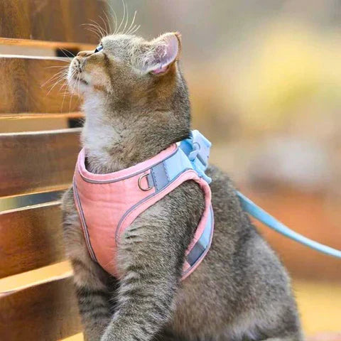 🦮[Give Your Pet the Best Love ]Cat Harness Vest