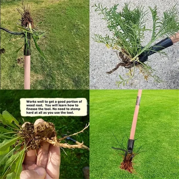 🔥🔥2024 New Upgraded Detachable Weed Puller Tool