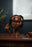 🔥Head Incense Burner Black Woman