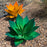 Decorative  metal plant agave  - Garden Art