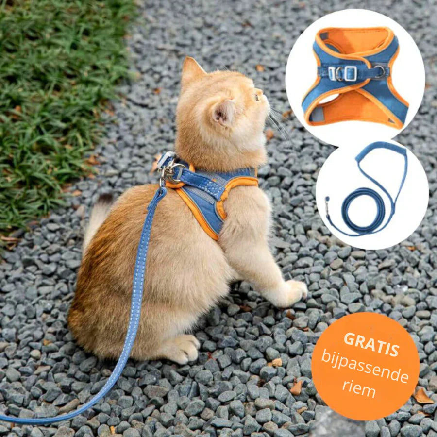 🦮[Give Your Pet the Best Love ]Cat Harness Vest