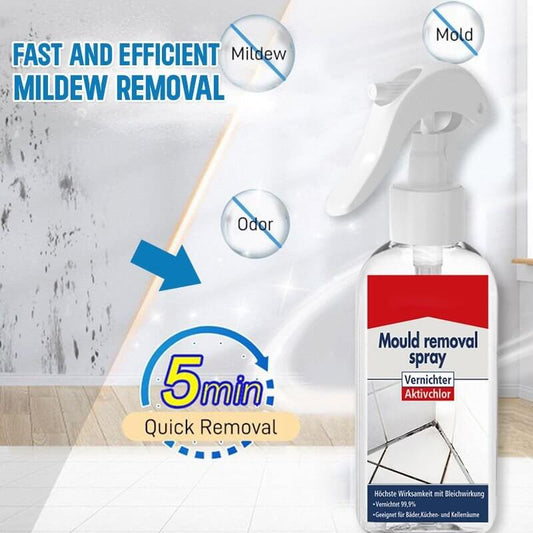 🔥2025 New Arrival🔥All-purpose Mildew Removal Spray