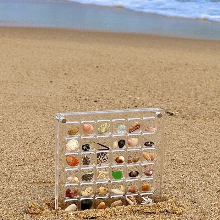 Acrylic Magnetic Seashell Storage Box